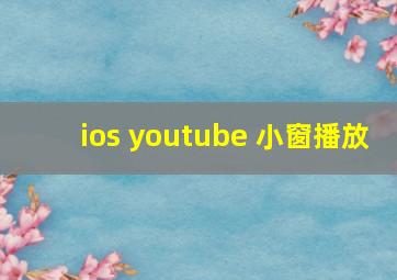 ios youtube 小窗播放